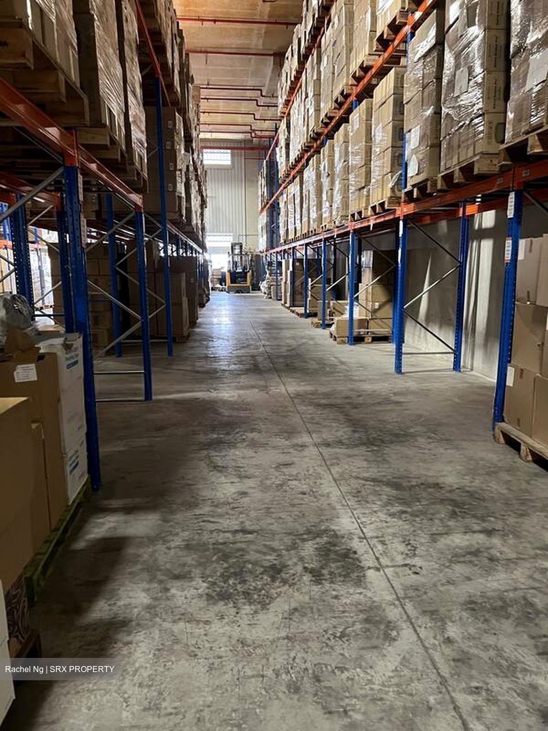 Imm Building (D22), Warehouse #565833951